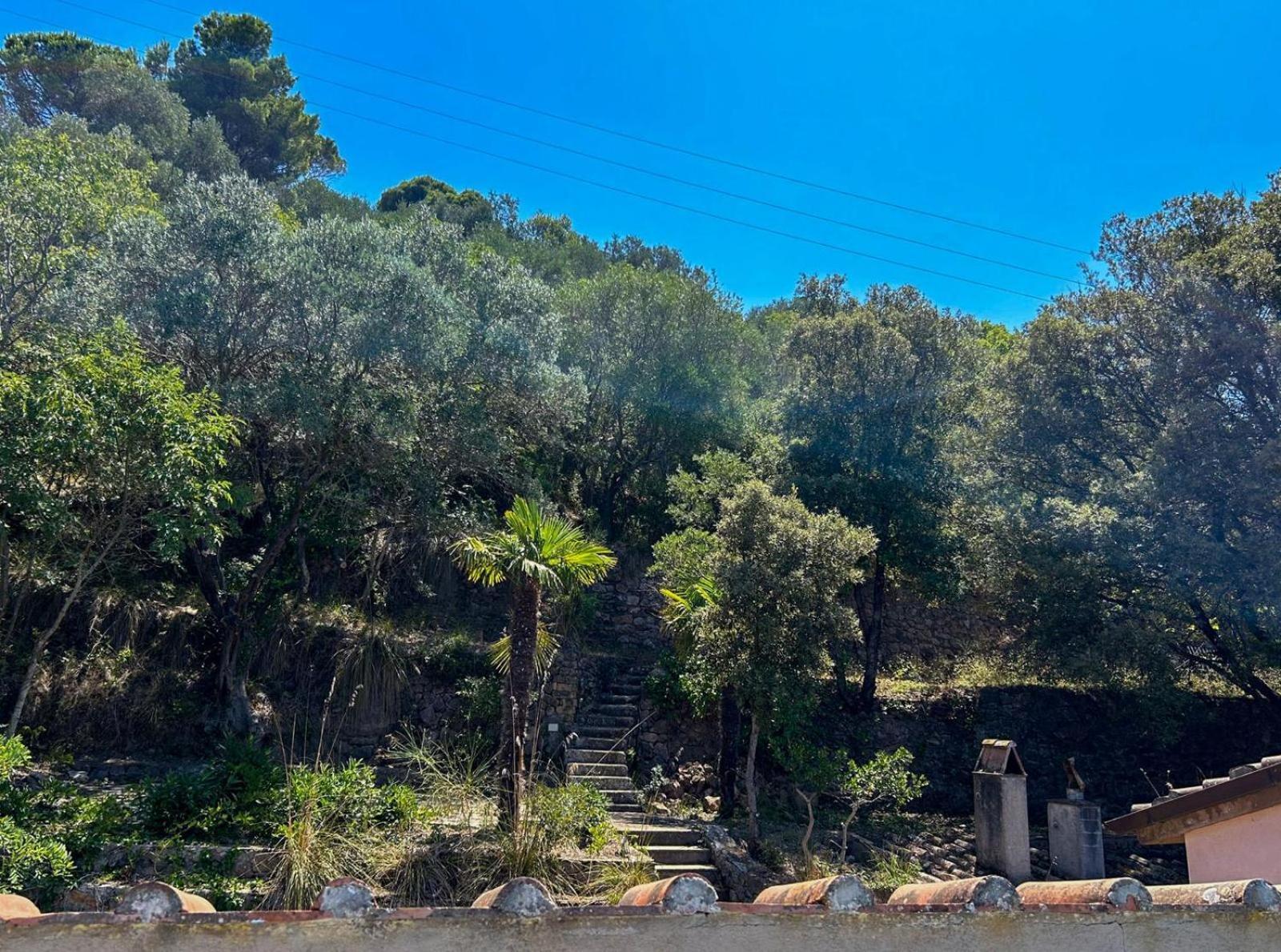 Villa Velta Sea Sunset Porto Santo Stefano (Grosseto) Exterior foto