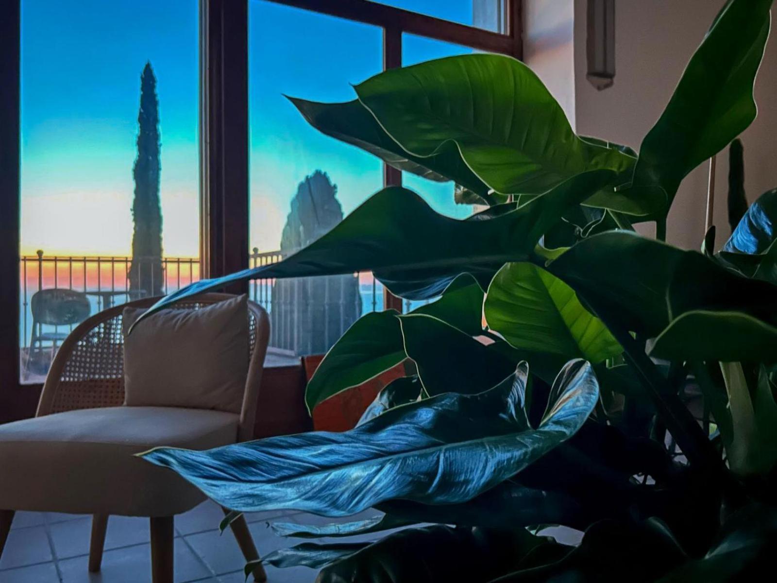 Villa Velta Sea Sunset Porto Santo Stefano (Grosseto) Exterior foto
